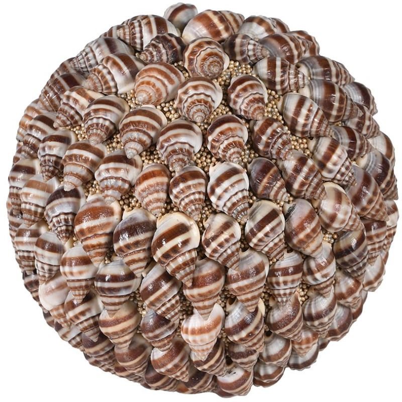 Natural Shell Sphere Ornament - 10.5cm | Decorative Accessories | Decorative Objects | The Elms