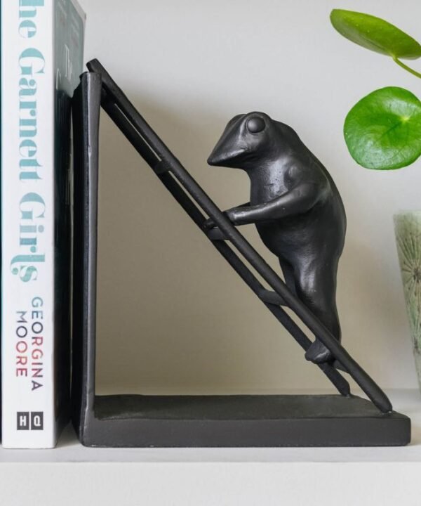 Aluminium Toad Bookends - 33cm | Decorative Accessories | Decorative Objects | The Elms