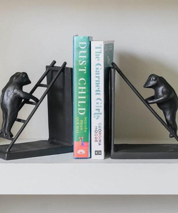 Aluminium Toad Bookends - 33cm | Decorative Accessories | Decorative Objects | The Elms